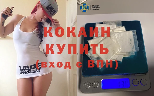 стаф Алексин