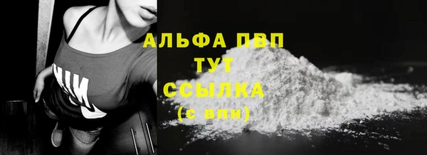стаф Алексин