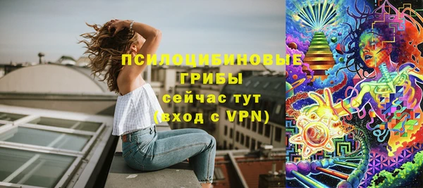 a pvp Алзамай