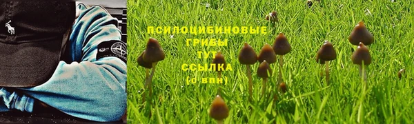 стаф Алексин