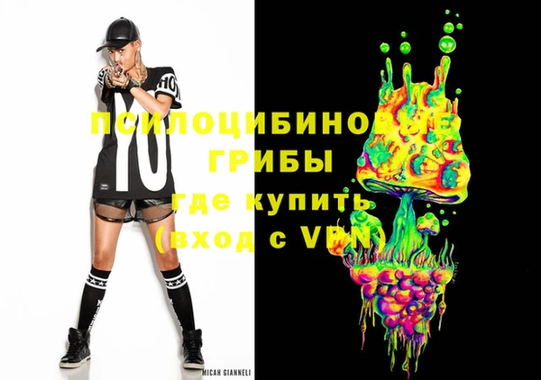 стаф Алексин