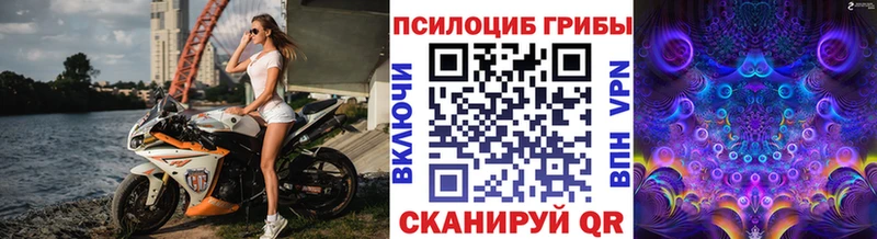 Галлюциногенные грибы MAGIC MUSHROOMS  Чайковский 